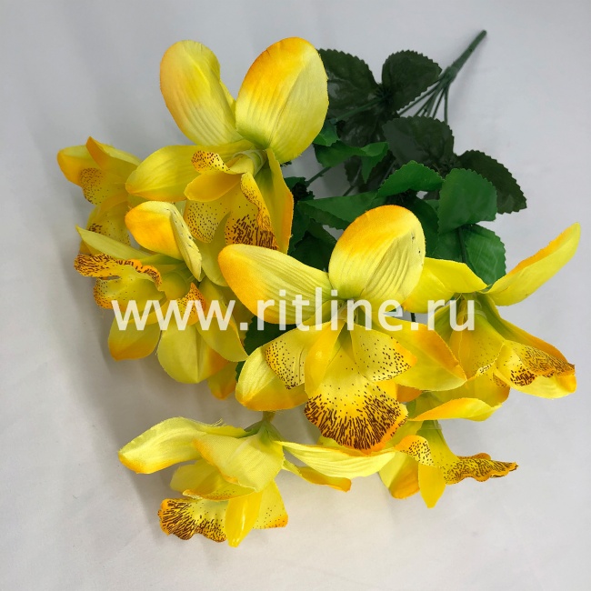 Букет орхидей "FITTONE", 8г., выс. 46см, цв.микс