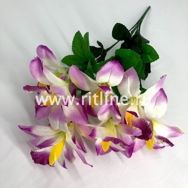 Букет орхидей "FITTONE", 8г., выс. 46см, цв.микс