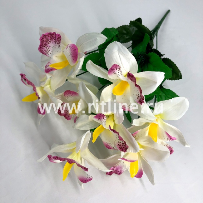 Букет орхидей "FITTONE", 8г., выс. 46см, цв.микс