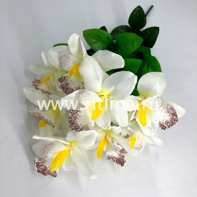 Букет орхидей "FITTONE", 8г., выс. 46см, цв.микс