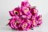 Букет роз "Fittone", 9г, выс.44см, цв.mix, плотный атлас