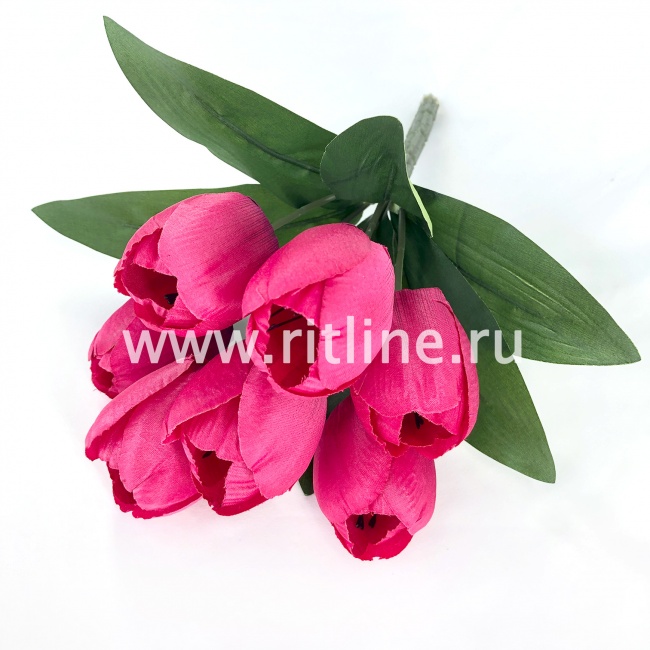 Букет тюльпанов "FITTONE", 7г, выс. 34см, атлас, цв.микс