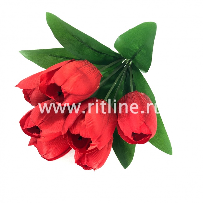 Букет тюльпанов "FITTONE", 7г, выс. 34см, атлас, цв.микс