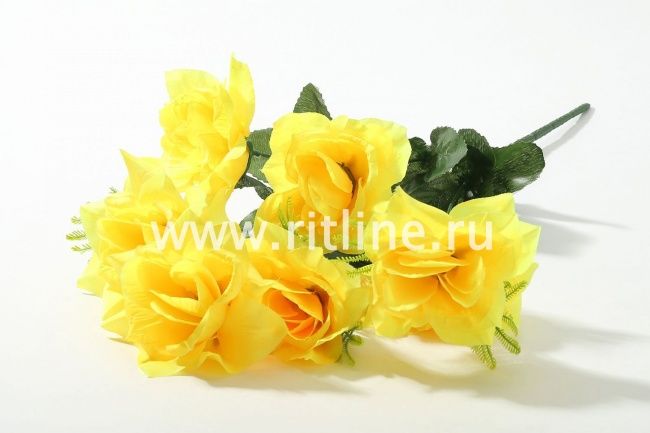 Букет роз "Fittone", 7г, выс.47, цв.микс