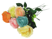 Роза одиночная, выс. 62 см, диаметр 8 см, цв. микс FITTONE