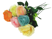 Роза одиночная, выс. 62 см, диаметр 8 см, цв. микс FITTONE