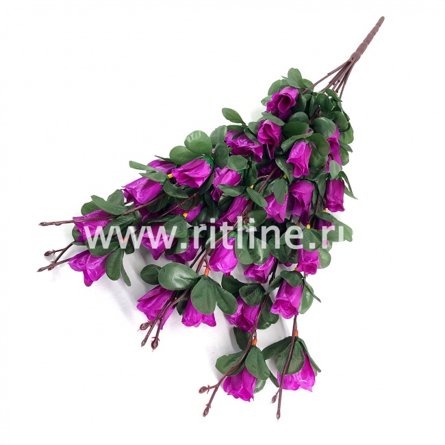 Букет роз "FITTONE", 42г, выс. 60см, цв.микс Букет роз "FITTONE", 42г, выс. 60см, цв.микс