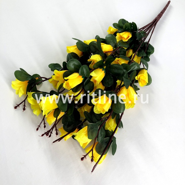 Букет роз "FITTONE", 42г, выс. 60см, цв.микс Букет роз "FITTONE", 42г, выс. 60см, цв.микс