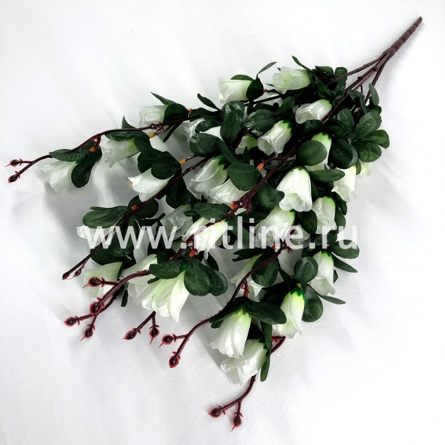 Букет роз "FITTONE", 42г, выс. 60см, цв.микс Букет роз "FITTONE", 42г, выс. 60см, цв.микс