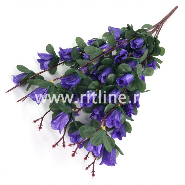 Букет роз "FITTONE", 42г, выс. 60см, цв.микс Букет роз "FITTONE", 42г, выс. 60см, цв.микс