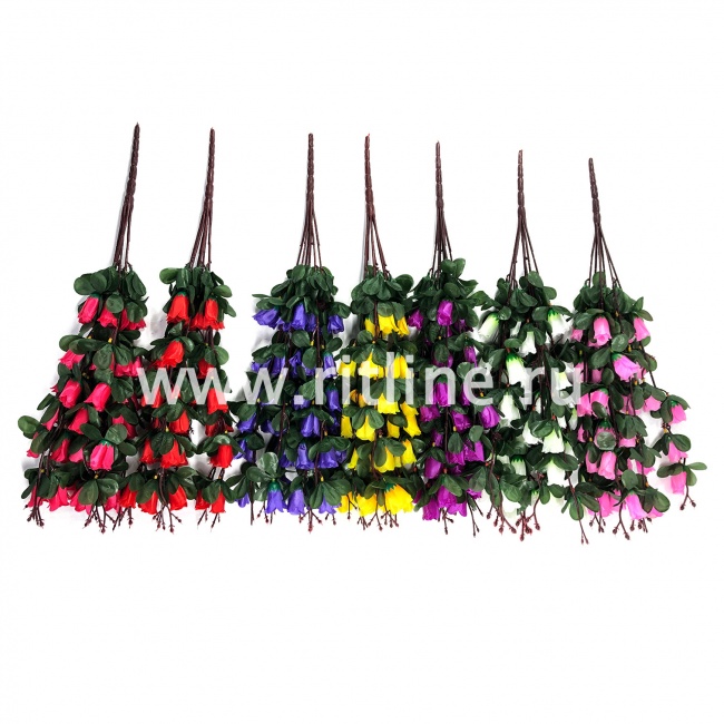 Букет роз "FITTONE", 42г, выс. 60см, цв.микс Букет роз "FITTONE", 42г, выс. 60см, цв.микс