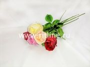 Роза одиночная, выс. 55 см, диаметр 8 см, цв. микс FITTONE