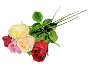 Роза одиночная, выс. 55 см, диаметр 8 см, цв. микс FITTONE