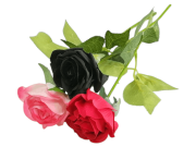 Роза одиночная, выс. 44 см, диаметр 5 см, цв. микс FITTONE