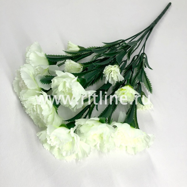 Букет гвоздик "FITTONE", 7г, выс. 39см, цв.микс