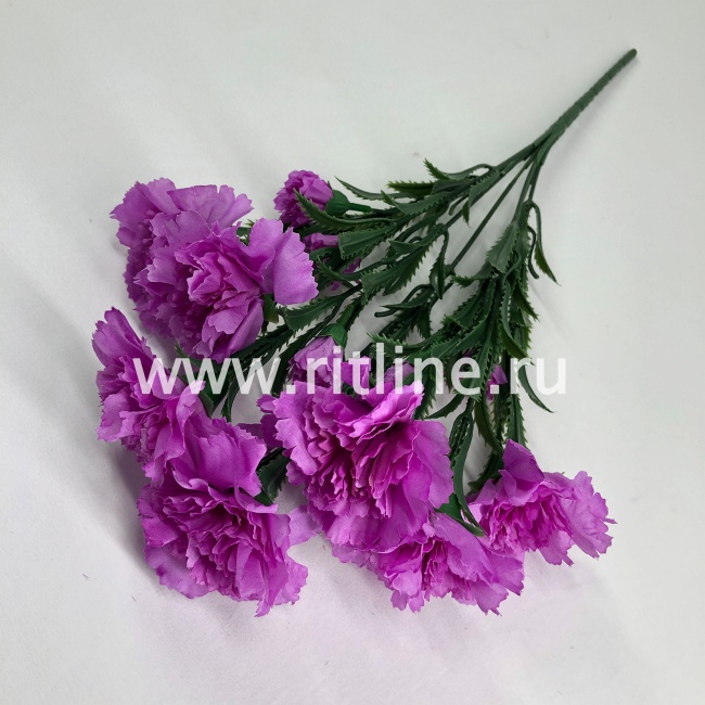 Букет гвоздик "FITTONE", 7г, выс. 39см, цв.микс