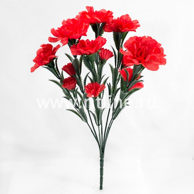 Букет гвоздик "FITTONE", 7г, выс. 39см, цв.микс