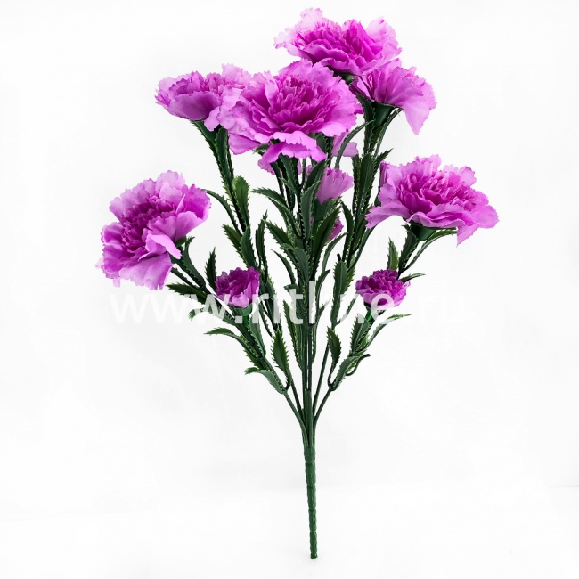 Букет гвоздик "FITTONE", 7г, выс. 39см, цв.микс