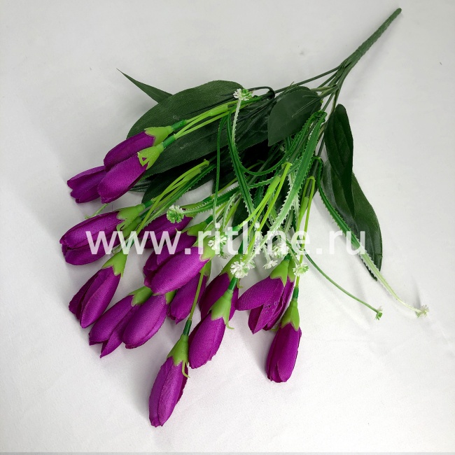 Букет крокусов, 18г, выс. 35 см, цв. микс FITTONE Букет крокусов, 18г, выс. 35 см, цв. микс FITTONE