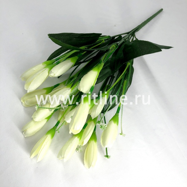Букет крокусов, 18г, выс. 35 см, цв. микс FITTONE Букет крокусов, 18г, выс. 35 см, цв. микс FITTONE