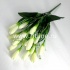 Букет крокусов "FITTONE", 18г, выс. 35см, цв.микс