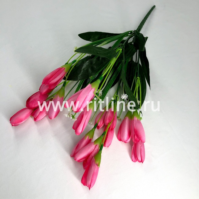 Букет крокусов, 18г, выс. 35 см, цв. микс FITTONE Букет крокусов, 18г, выс. 35 см, цв. микс FITTONE