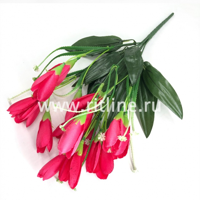 Букет крокусов, 18г, выс. 35 см, цв. микс FITTONE Букет крокусов, 18г, выс. 35 см, цв. микс FITTONE