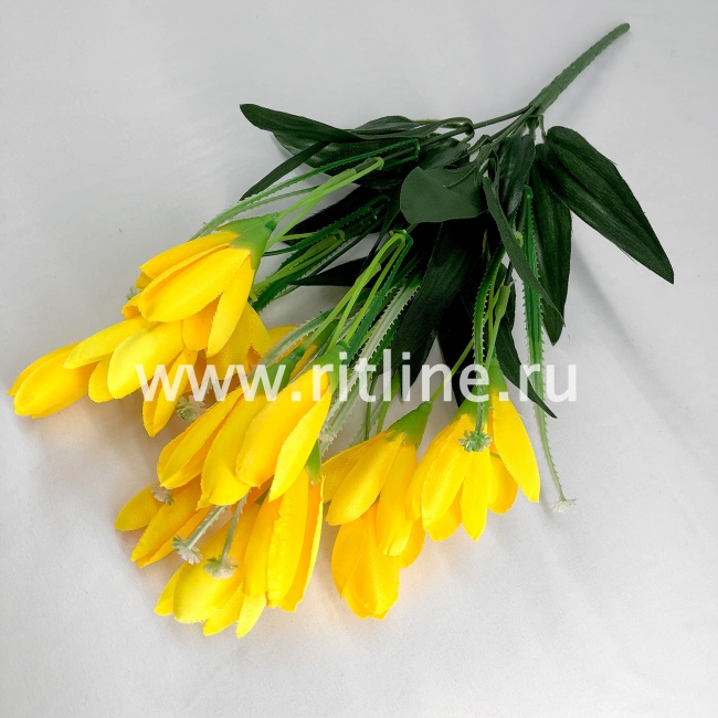 Букет крокусов, 18г, выс. 35 см, цв. микс FITTONE Букет крокусов, 18г, выс. 35 см, цв. микс FITTONE