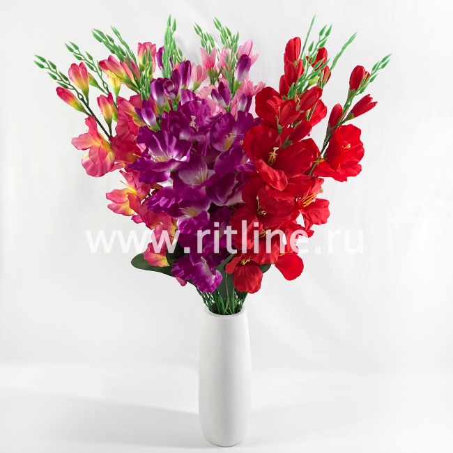 Букет гладиолусов "FITTONE", 25г, выс. 70см, цв.микс