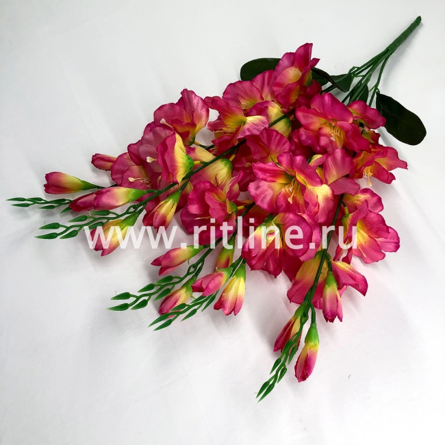 Букет гладиолусов "FITTONE", 25г, выс. 70см, цв.микс