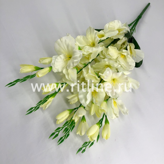 Букет гладиолусов "FITTONE", 25г, выс. 70см, цв.микс