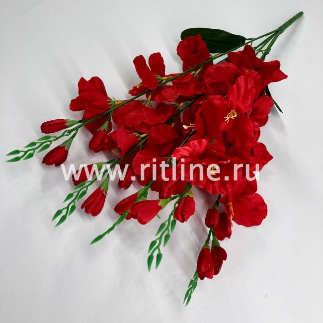 Букет гладиолусов "FITTONE", 25г, выс. 70см, цв.микс