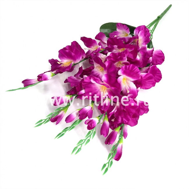 Букет гладиолусов "FITTONE", 25г, выс. 70см, цв.микс