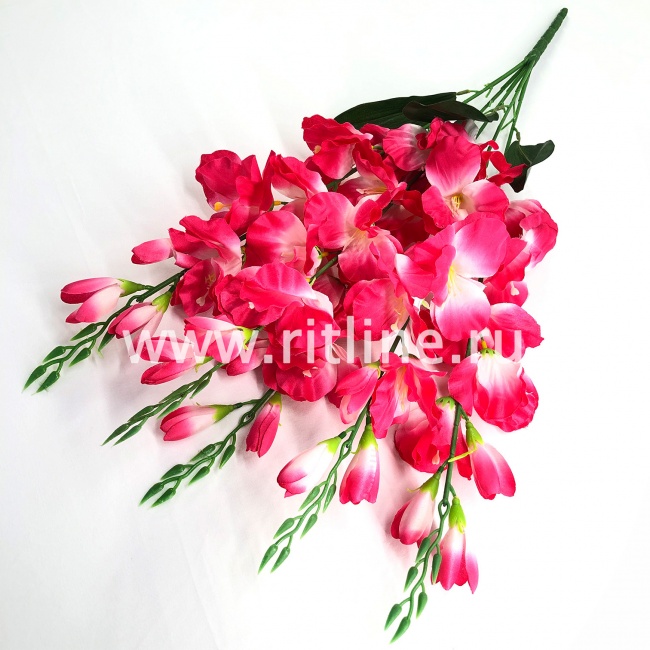 Букет гладиолусов "FITTONE", 25г, выс. 70см, цв.микс