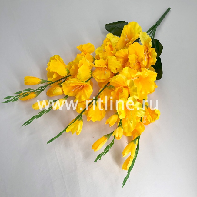 Букет гладиолусов "FITTONE", 25г, выс. 70см, цв.микс