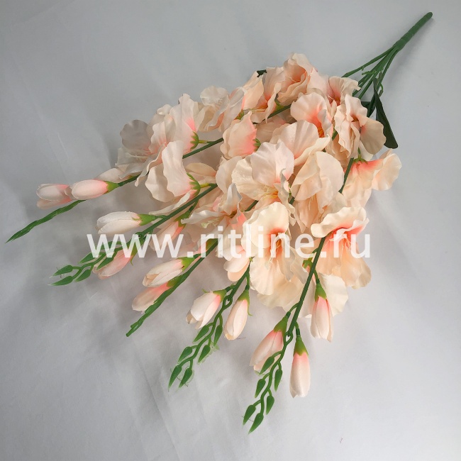 Букет гладиолусов "FITTONE", 25г, выс. 70см, цв.микс