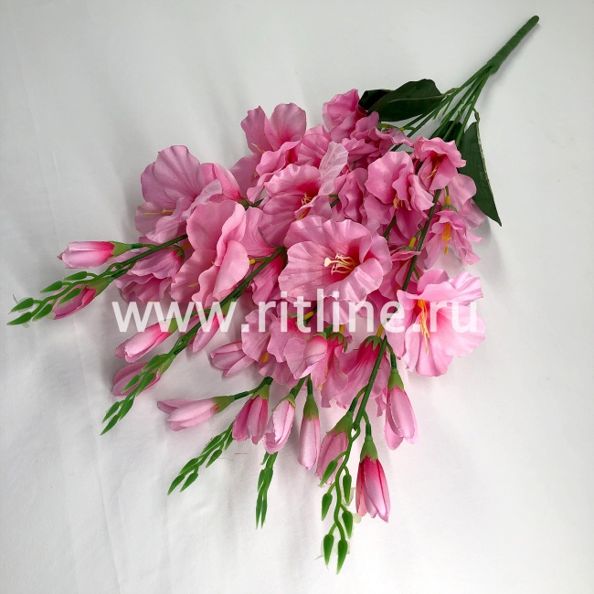 Букет гладиолусов "FITTONE", 25г, выс. 70см, цв.микс