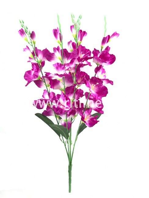 Букет гладиолусов "FITTONE", 25г, выс. 70см, цв.микс