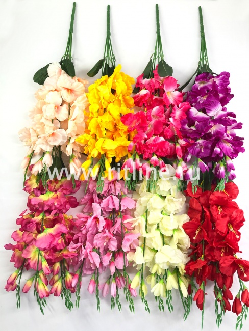 Букет гладиолусов "FITTONE", 25г, выс. 70см, цв.микс