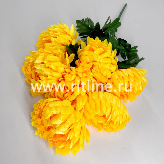 Букет хризантем ШАР "FITTONE", 7г, выс. 60см, цв.микс