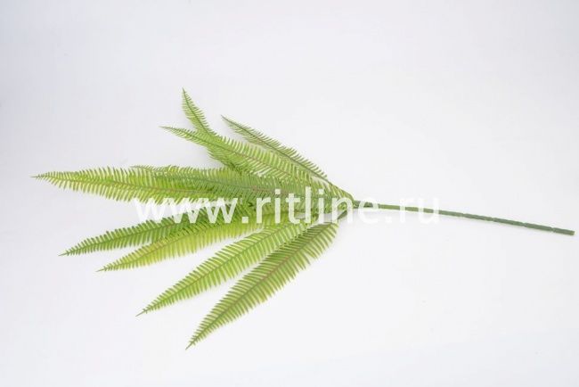 Букет пластикового папоротника "Fittone", 3групп, выс.58см, цв.зеленый