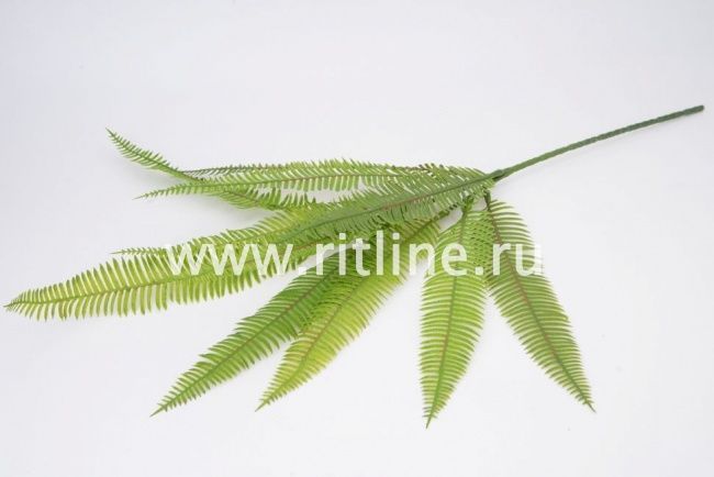 Букет пластикового папоротника "Fittone", 3групп, выс.58см, цв.зеленый