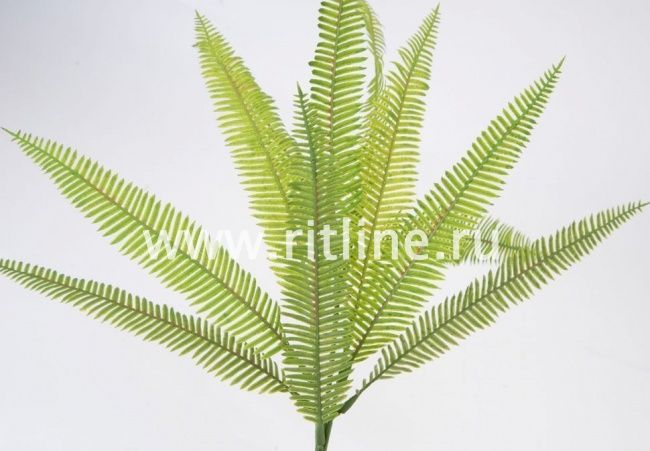 Букет пластикового папоротника "Fittone", 3групп, выс.58см, цв.зеленый