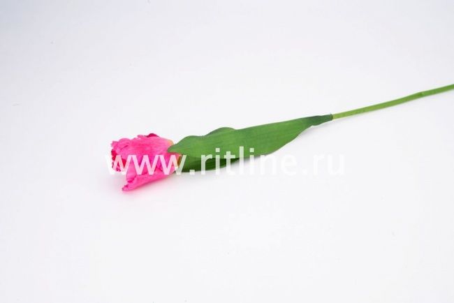 Тюльпан одиночный, высота 39 см, плотный атлас, цв. микс FITTONE