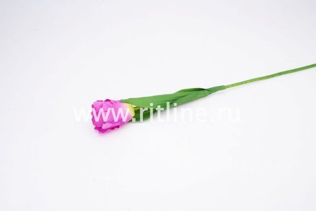 Тюльпан одиночный, высота 39 см, плотный атлас, цв. микс FITTONE