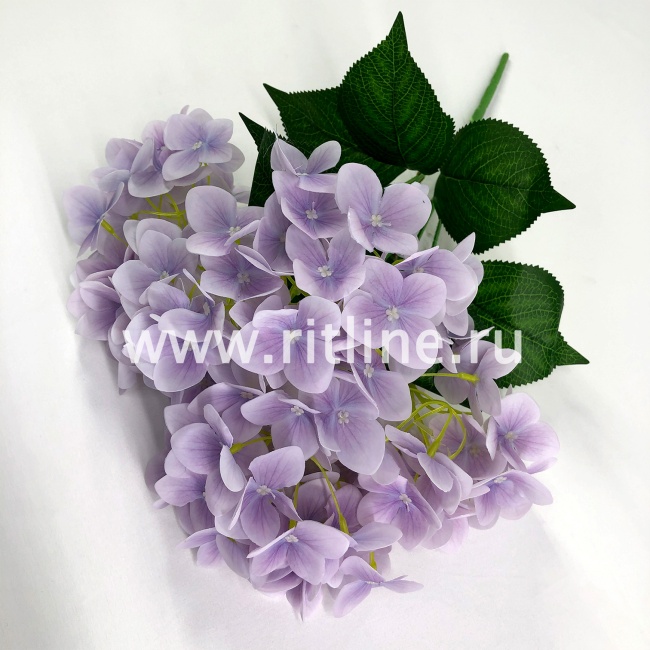 Букет гортензии "FITTONE", 5 ветвей по 24г, выс. 47см, цв.микс