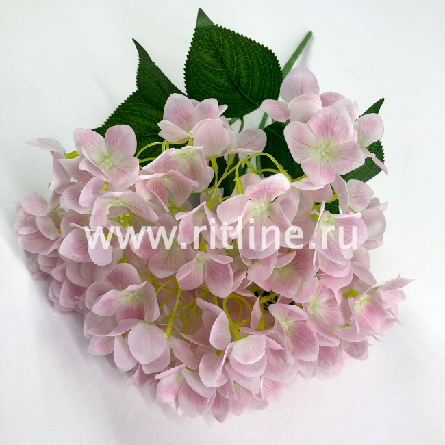 Букет гортензии "FITTONE", 5 ветвей по 24г, выс. 47см, цв.микс