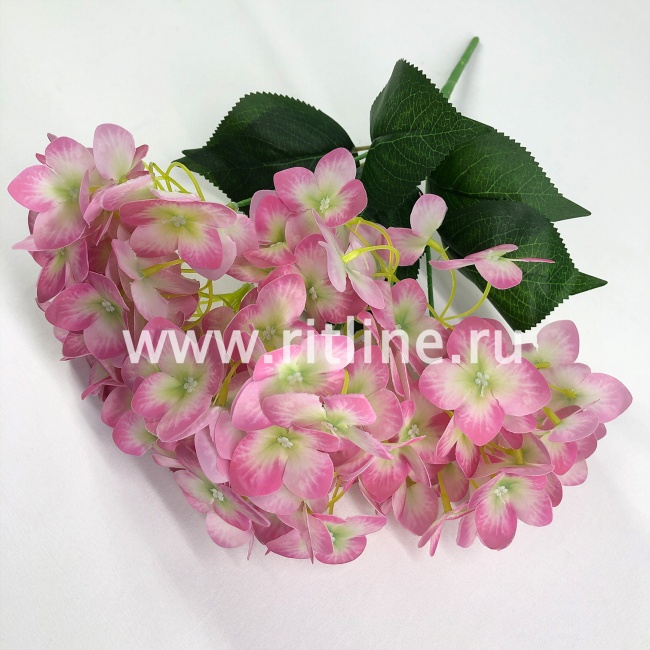 Букет гортензии "FITTONE", 5 ветвей по 24г, выс. 47см, цв.микс