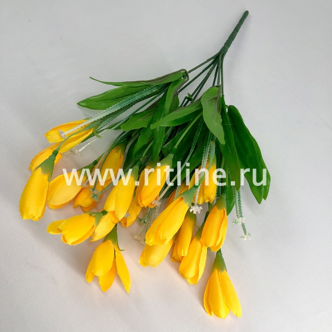 Букет крокусов, 21г, выс. 35 см, цв. микс FITTONE