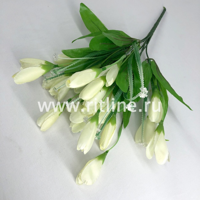 Букет крокусов, 21г, выс. 35 см, цв. микс FITTONE